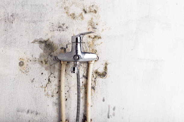 Home Mold Removal in Middle River, MD