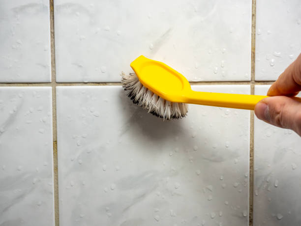 Mold Removal and Inspection in Middle River, MD