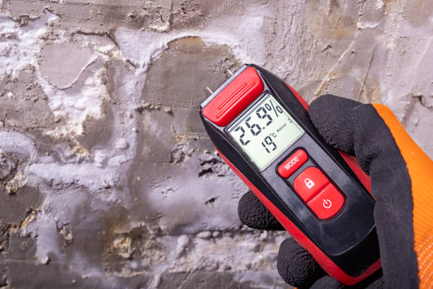 Best Mold Remediation  in Middle River, MD