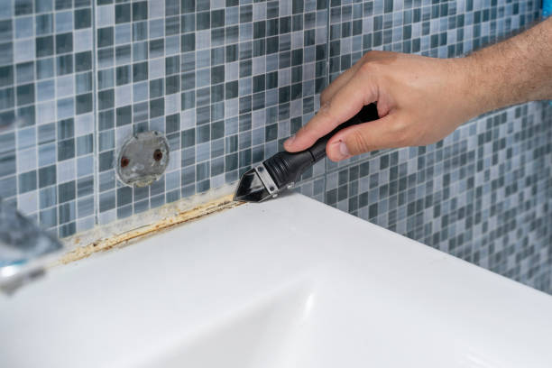 Trusted Middle River, MD Mold Removal Experts
